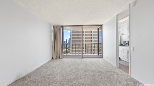 spare room featuring a textured ceiling, carpet floors, and floor to ceiling windows