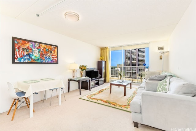 living room with carpet floors