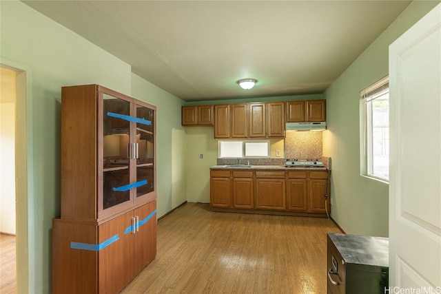 kitchen featuring light hardwood / wood-style flooring, tasteful backsplash, and sink