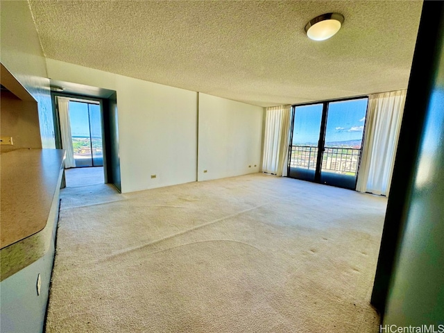 unfurnished room with a textured ceiling and plenty of natural light