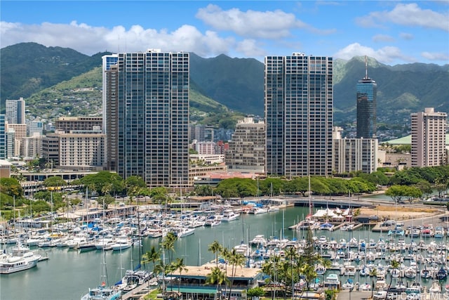 city view featuring a water and mountain view