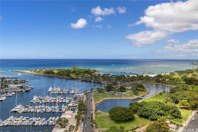 aerial view with a water view