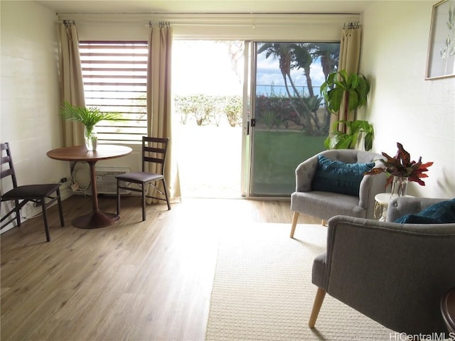 interior space with light hardwood / wood-style flooring