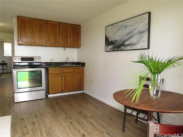 kitchen with dark hardwood / wood-style floors, stainless steel electric stove, and sink