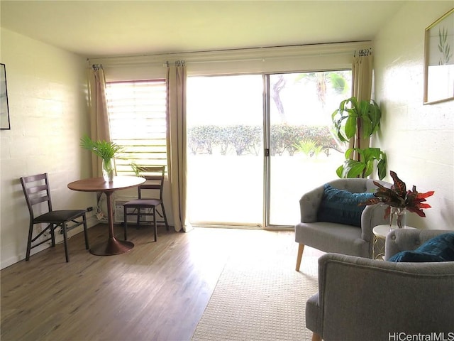 interior space with hardwood / wood-style flooring