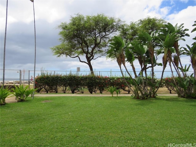 view of community featuring a yard