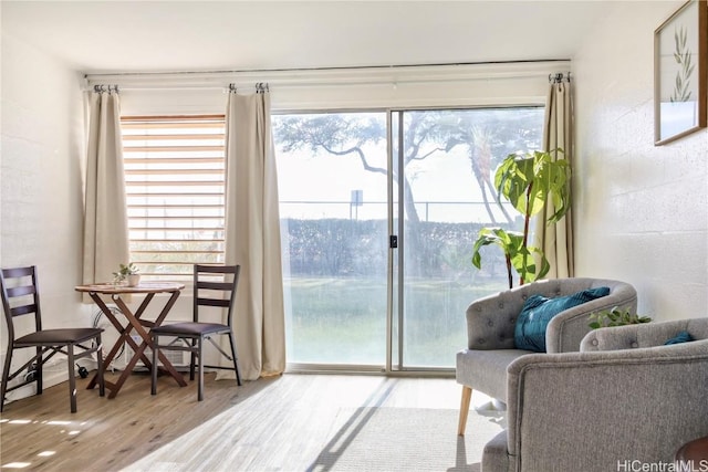 living area with hardwood / wood-style flooring and a wealth of natural light