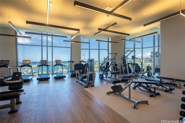 workout area with hardwood / wood-style flooring, expansive windows, and a high ceiling