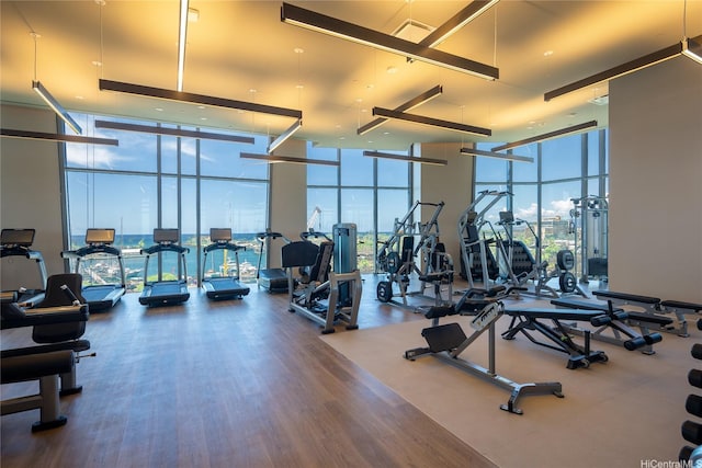gym featuring floor to ceiling windows, plenty of natural light, and wood finished floors