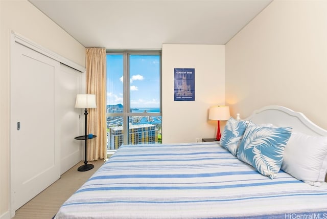 carpeted bedroom featuring expansive windows