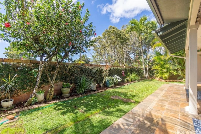 view of yard featuring a patio area and a fenced backyard