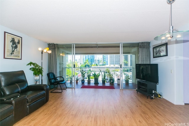 living room with hardwood / wood-style flooring