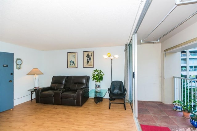 living room featuring wood-type flooring