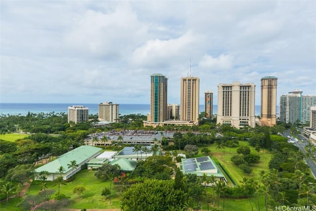 bird's eye view with a water view