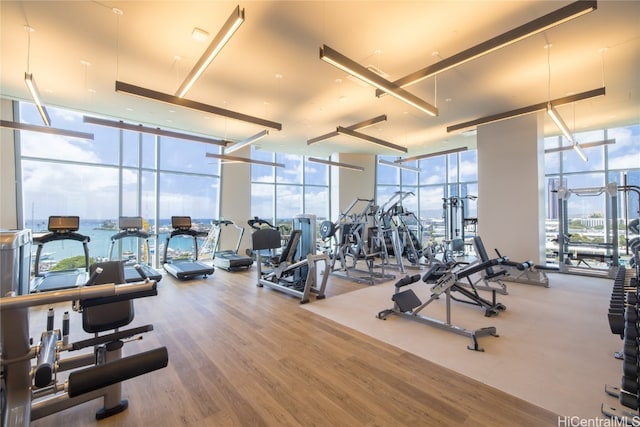 exercise room with a water view, wood-type flooring, a wealth of natural light, and floor to ceiling windows