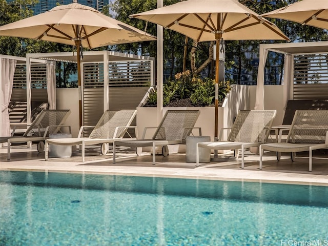 view of pool featuring a patio area