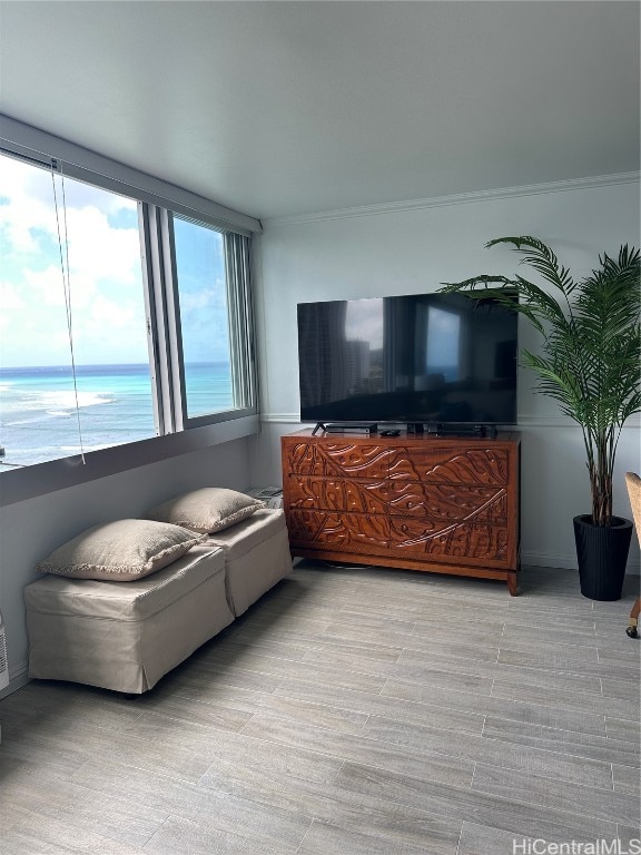 living room with ornamental molding