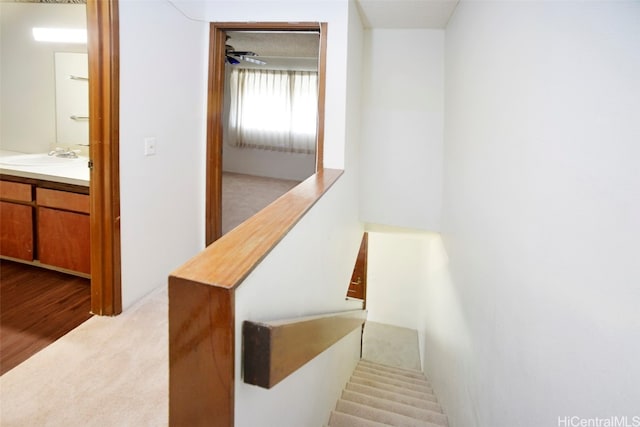 stairway featuring sink and carpet