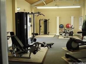 workout area featuring lofted ceiling, carpet, and a healthy amount of sunlight