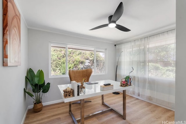 office space featuring ceiling fan, ornamental molding, and light wood-type flooring