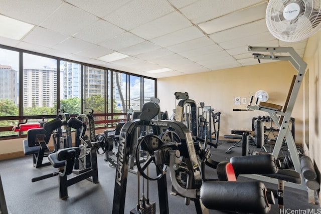 gym with expansive windows and a paneled ceiling