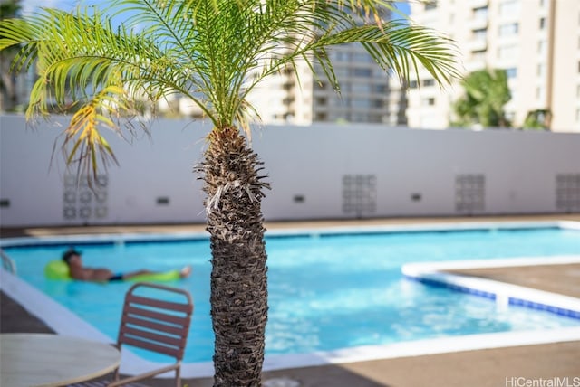 view of swimming pool