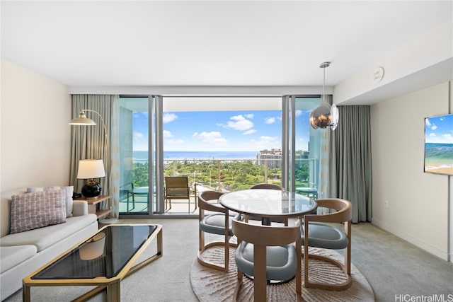 carpeted dining area with plenty of natural light