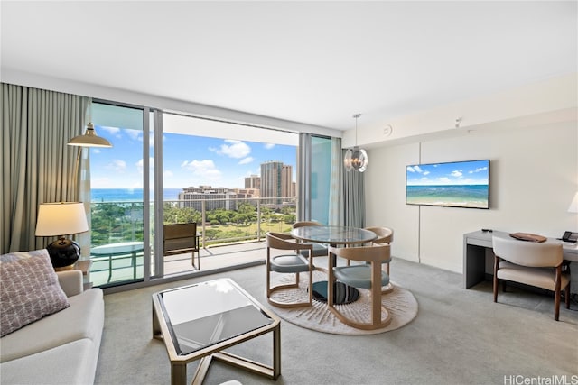 carpeted living room with floor to ceiling windows and a wealth of natural light