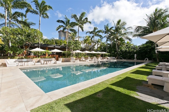 view of pool with a yard and a patio