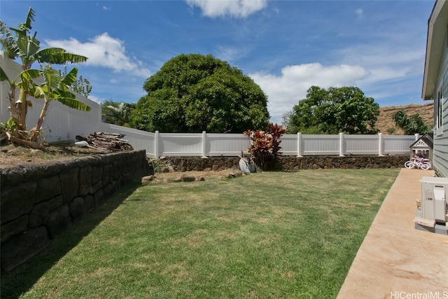 view of yard featuring a patio area