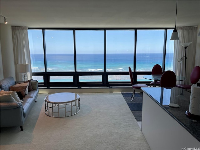 living room with a water view, floor to ceiling windows, and track lighting