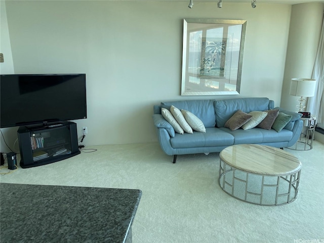 living area featuring rail lighting and carpet flooring