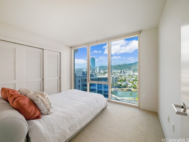 carpeted bedroom with a water view, a closet, and access to exterior