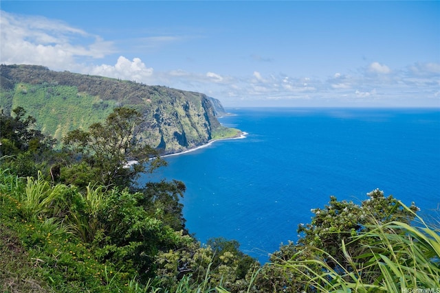 48-5528 Honokaa Waipio Rd, Honokaa, HI 96727 - water view with a mountain view
