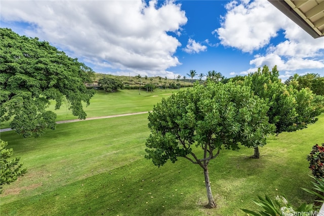 view of property's community featuring a lawn