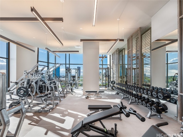 exercise room with a wall of windows