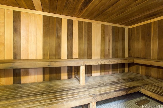 view of sauna / steam room featuring carpet