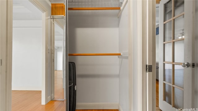 spacious closet with light wood-type flooring