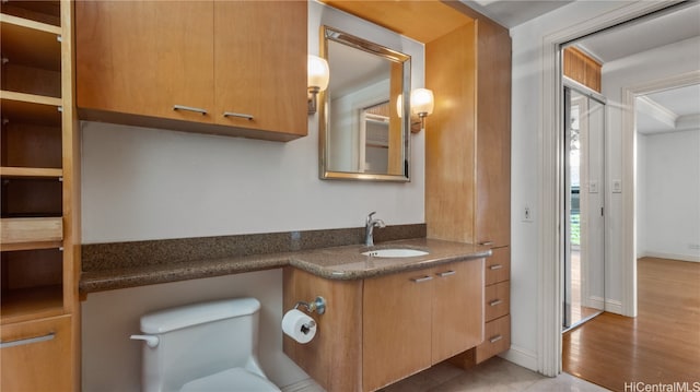 bathroom with vanity, wood-type flooring, and toilet