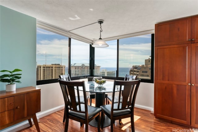 dining space with light hardwood / wood-style flooring, a textured ceiling, and floor to ceiling windows