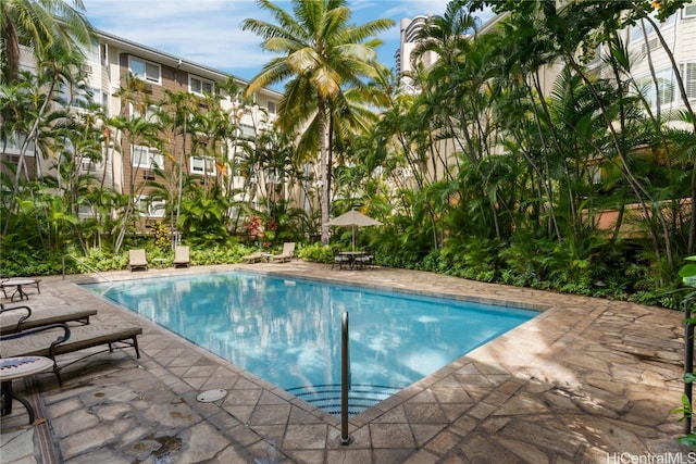 view of pool featuring a patio