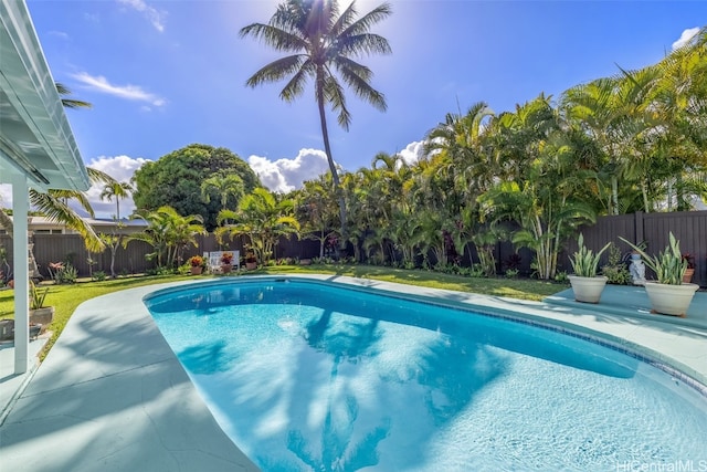 view of swimming pool featuring a patio