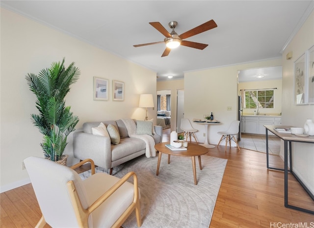 living room featuring sink, ceiling fan, ornamental molding, and light hardwood / wood-style flooring