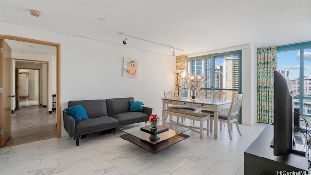 living room featuring expansive windows, light hardwood / wood-style flooring, and rail lighting