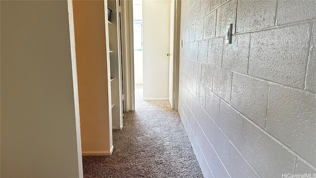 hallway featuring carpet flooring