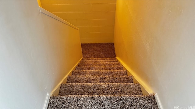 stairway featuring carpet flooring