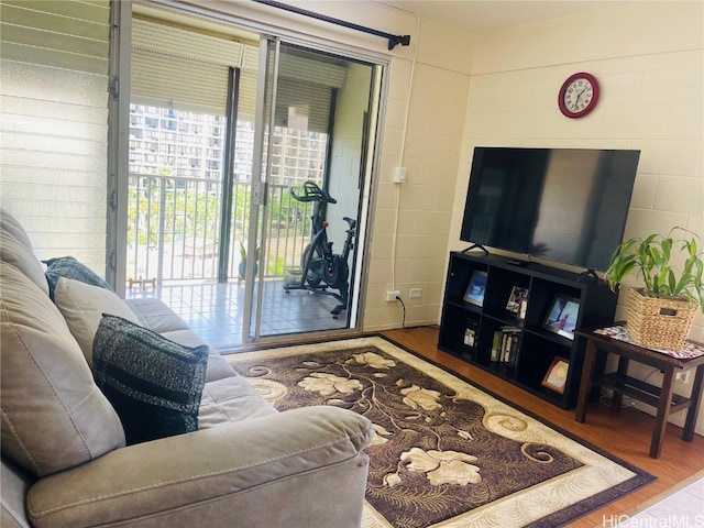 living room with hardwood / wood-style floors