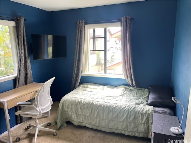 view of carpeted bedroom