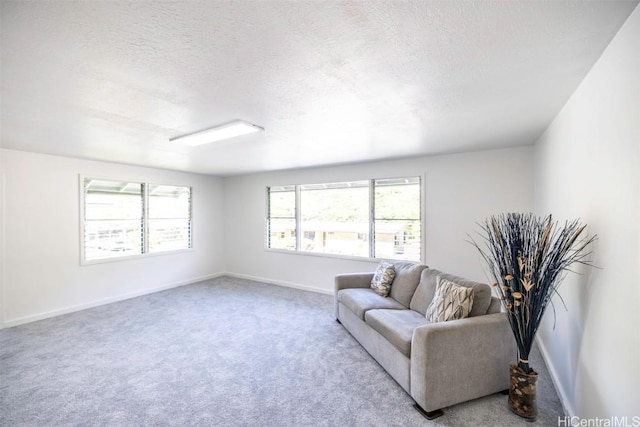 carpeted living room with a textured ceiling