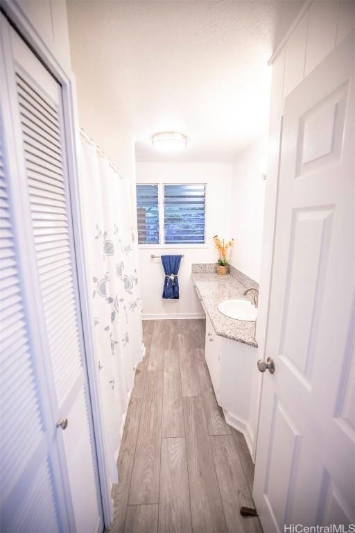 bathroom featuring hardwood / wood-style flooring and vanity